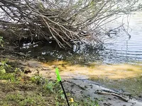 Берег р. Берекет