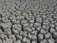 берег у М. Арала река Кигач