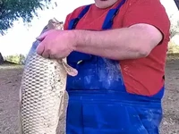 Сазан на р. Кигач